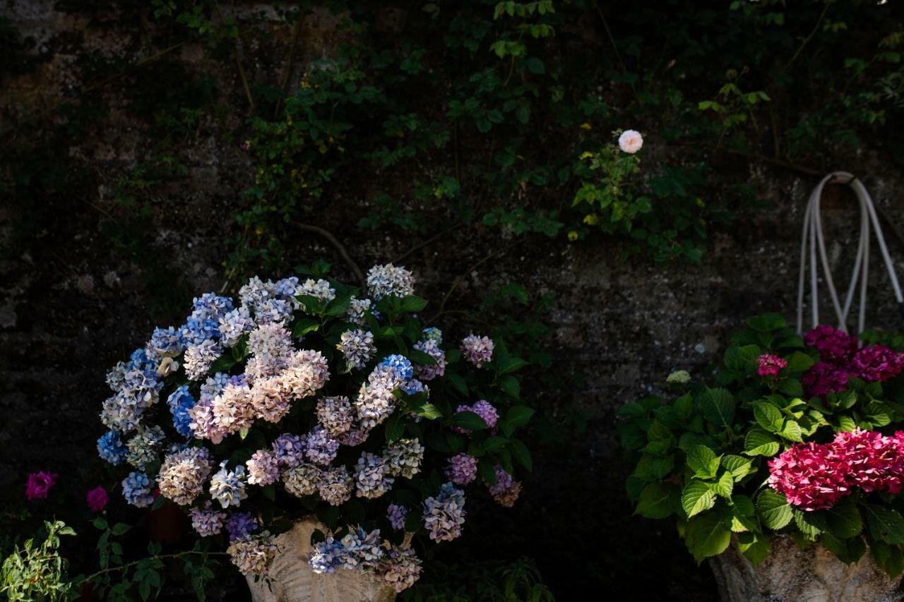 Orvieto Rocca Fiorita Hotel ภายนอก รูปภาพ