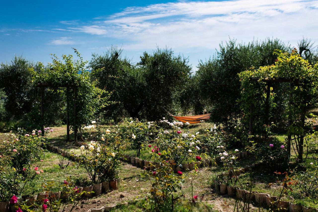 Orvieto Rocca Fiorita Hotel ภายนอก รูปภาพ